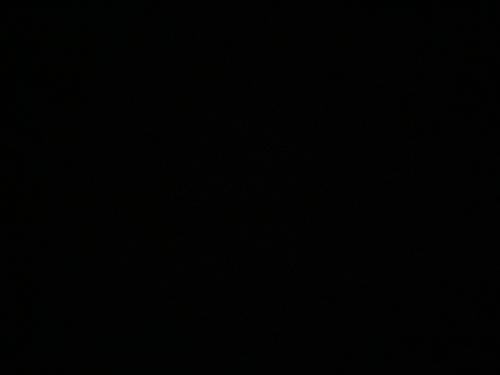 AnneBak Gelininn#2009